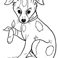 Desenho de Cachorro com patinha quebrada para colorir