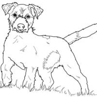 Desenho de Cachorro do Máscara para colorir