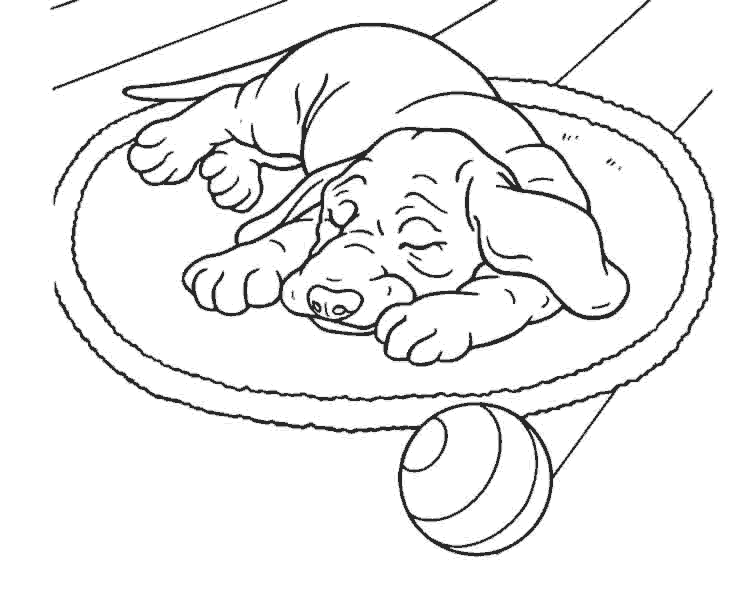 Desenhos para colorir de desenho de cachorros dormindo para colorir  