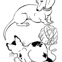 Desenho de Cachorro e gato brincando para colorir