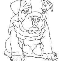 Desenho de Cachorro enrugado para colorir