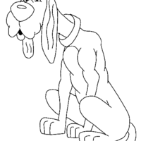 Desenho de Cachorro idoso para colorir