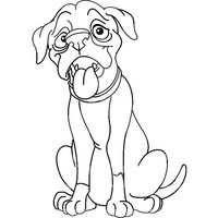 Desenho de Cachorro magro para colorir