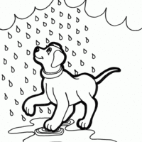 Desenho de Cachorro na chuva para colorir