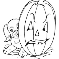 Desenho de Cachorro no Halloween para colorir