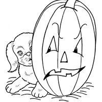 Desenho de ceifador de desenhos animados e pilha de abóboras de halloween  para colorir e imprimir