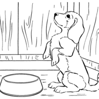 Desenho de Cachorro pedindo comida para colorir