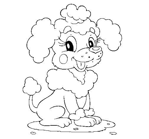 desenho de cachorro poodle para colorir. ilustração vetorial de contorno  7534268 Vetor no Vecteezy