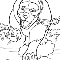 Desenho de Cachorro preso na coleira correndo para colorir