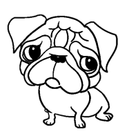Desenho de Cachorro Pug para colorir
