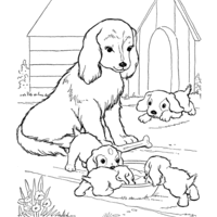 Desenho de Cadela e filhotinhos para colorir
