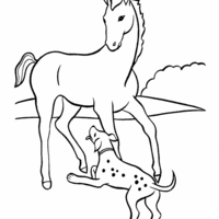 Desenho de Cavalo e cachorro para colorir