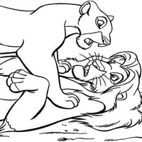 Desenho de Nala brigando com Simba para colorir