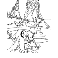 Desenho de Simba correndo entre girafas para colorir