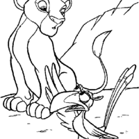 Desenho de Simba e Zazu para colorir