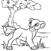 Desenho de Simba passeando pela selva para colorir