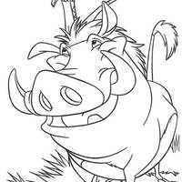Desenho de Timão e Pumba cantando para colorir