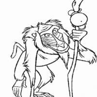 Desenho de Velho Rafiki para colorir