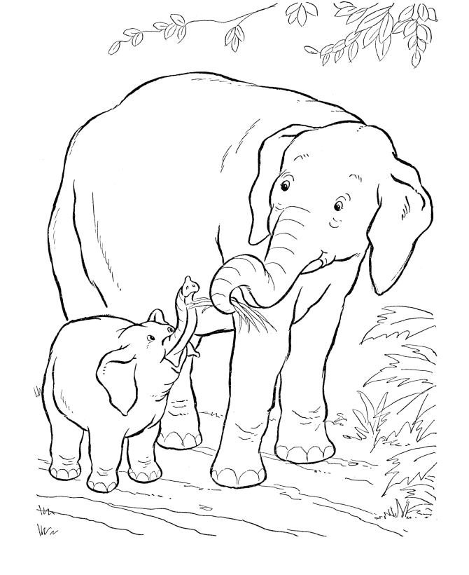 Elefanta alimentando bebe