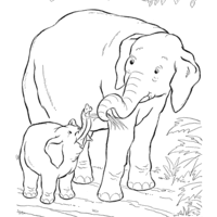 Desenho de Elefanta alimentando bebê para colorir