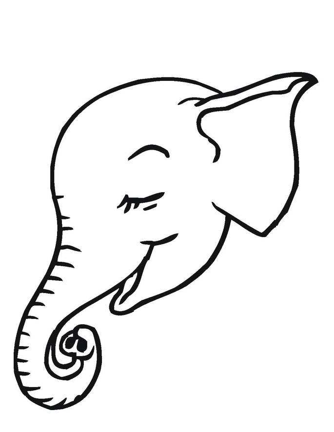 Cara de elefante