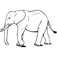 Desenho de Elefante caminhando para colorir