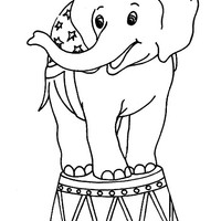 Desenho de Elefante no picadeiro para colorir