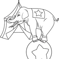 Desenho de Elefante equilibrista para colorir