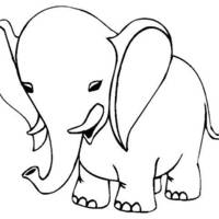 Desenho de Elefante filhote para colorir