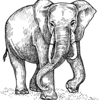 Desenho de Elefante na savana para colorir