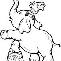 Desenho de Elefante no picadeiro para colorir