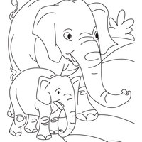 Desenho de Elefantes na selva para colorir