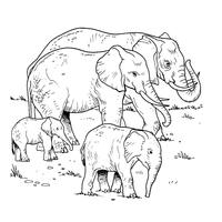 Desenho de Manada de elefantes para colorir