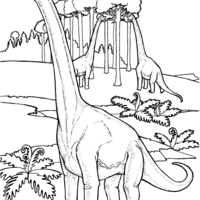 Desenho de Dinossauro de pescoço longo para colorir