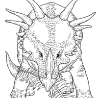 Desenho de Dinossauro furioso para colorir