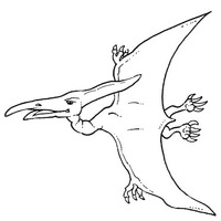 Desenho de Pterodonte para colorir