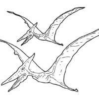 Desenho de Pterodontes voando para colorir