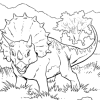 Desenho de Triceraptors para colorir
