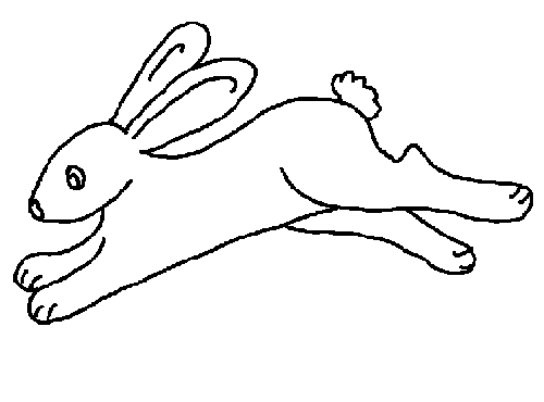 Coelha saltando