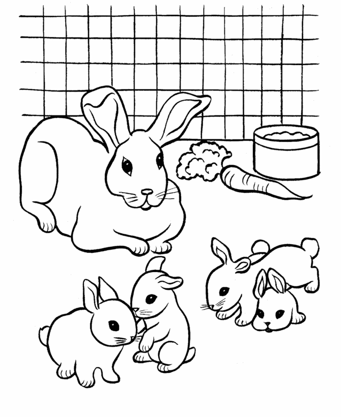 Coelha mimando filhinhos