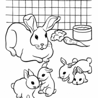 Desenho de Coelha mimando filhinhos para colorir