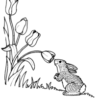 Desenho de Coelho cheirando flores para colorir