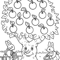Desenho de Coelho colhendo maçãs no pomar para colorir