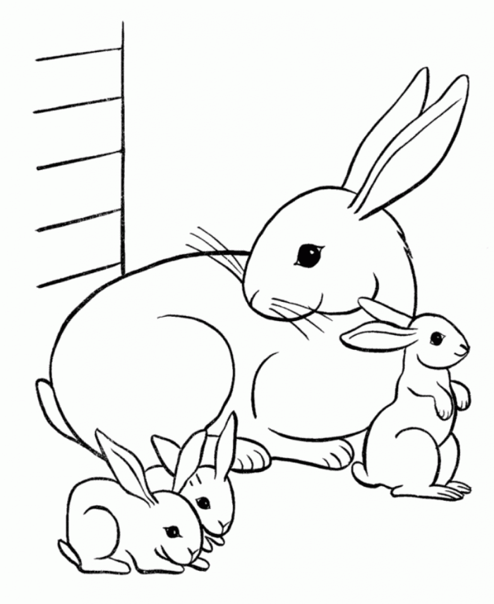 desenho-de-fam-lia-de-coelhos-para-colorir-tudodesenhos
