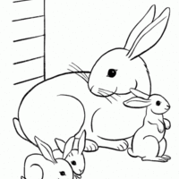 Desenho de Família de coelhos para colorir