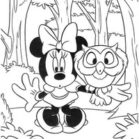 Desenho de Minnie e coruja de pelúcia para colorir