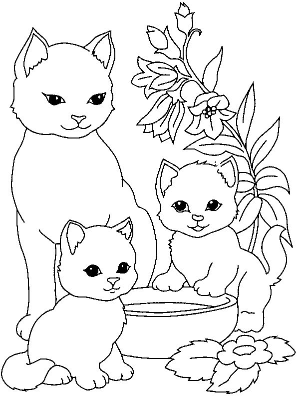 Desenhos Fofos para Colorir Gatinha