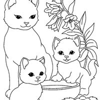 Desenho de Gatinhas fofas para colorir