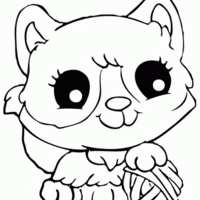 Desenho de Gato bebê para colorir