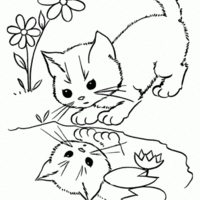 Desenho de Gato bebendo água no rio para colorir